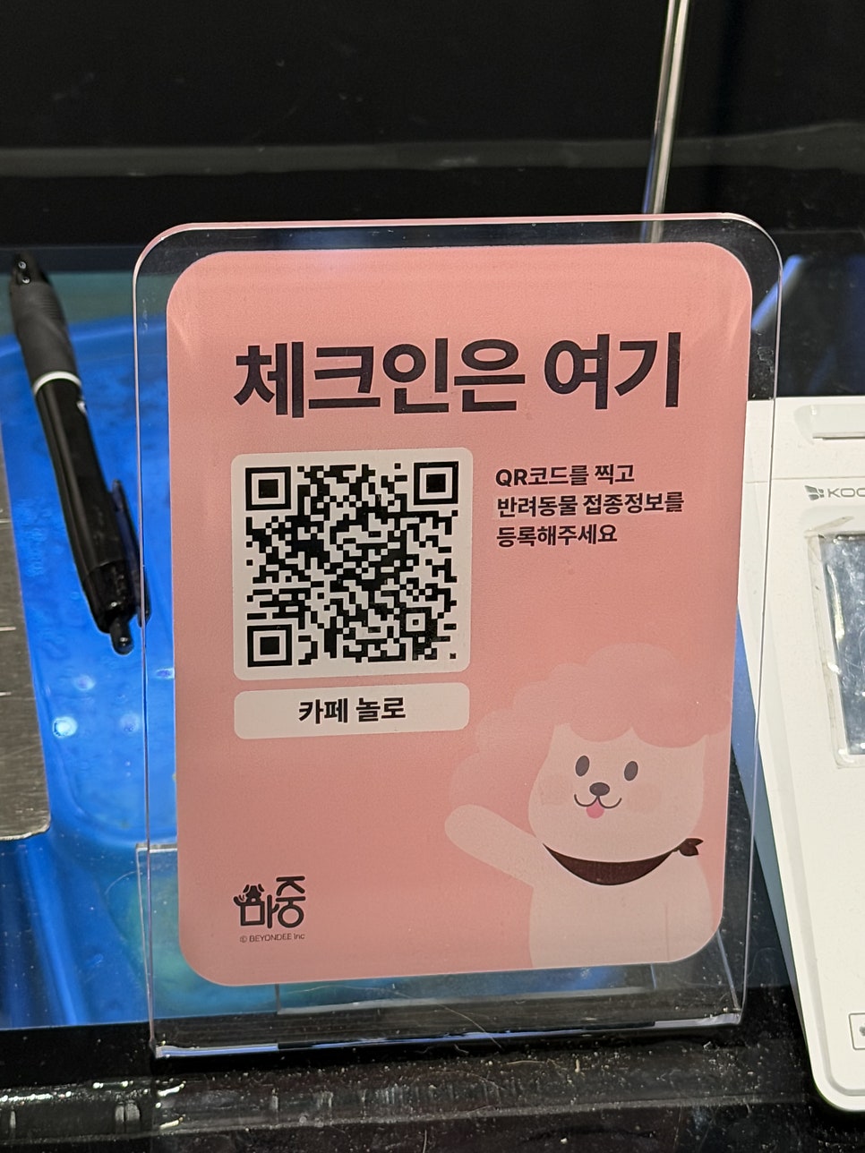 강남 애견동반 카페 놀로스퀘어, 강아지 메뉴와 편의 시스템 — 사진 4