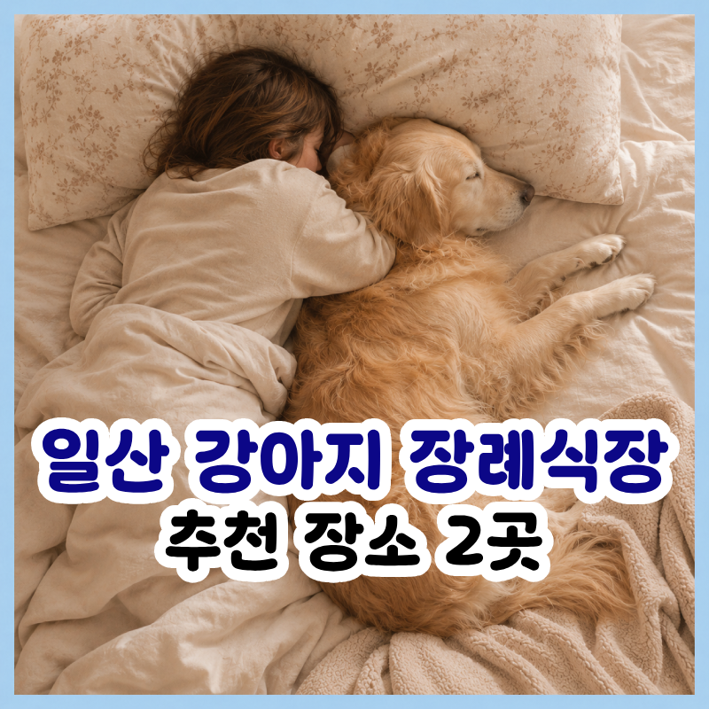 일산 강아지 장례, 비용·절차·추천 2곳 비교