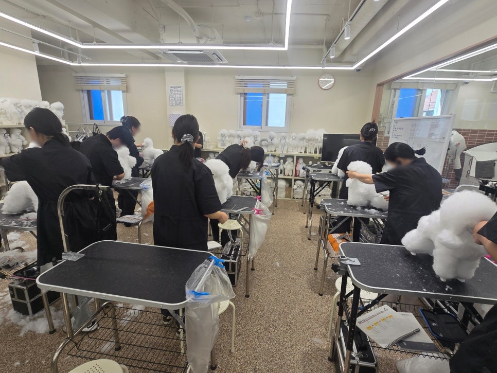 부평 강아지 미용 학원: 커리큘럼, 시설, 비용 완벽 분석 — 사진 6