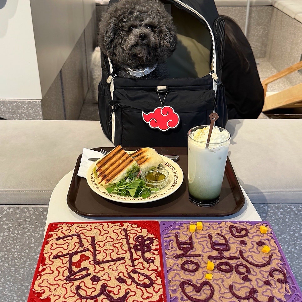 강남 애견동반 카페 놀로스퀘어, 강아지 메뉴와 편의 시스템 — 사진 3