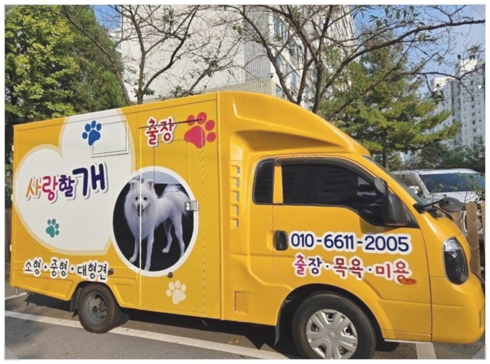 가평 대형견 출장 미용, 강아지 행복 목욕 '사랑할개'
