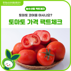 토마토 코어 열풍 속 진짜 토마토 가격은?🍅 바로가기