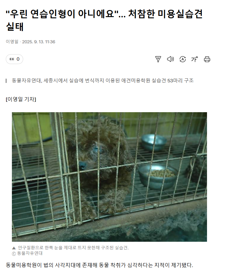 송도 애견미용학원, 가정견 실습으로 창업 준비 — 사진 3
