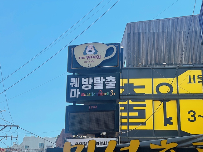 퀘스천마크 사진 6