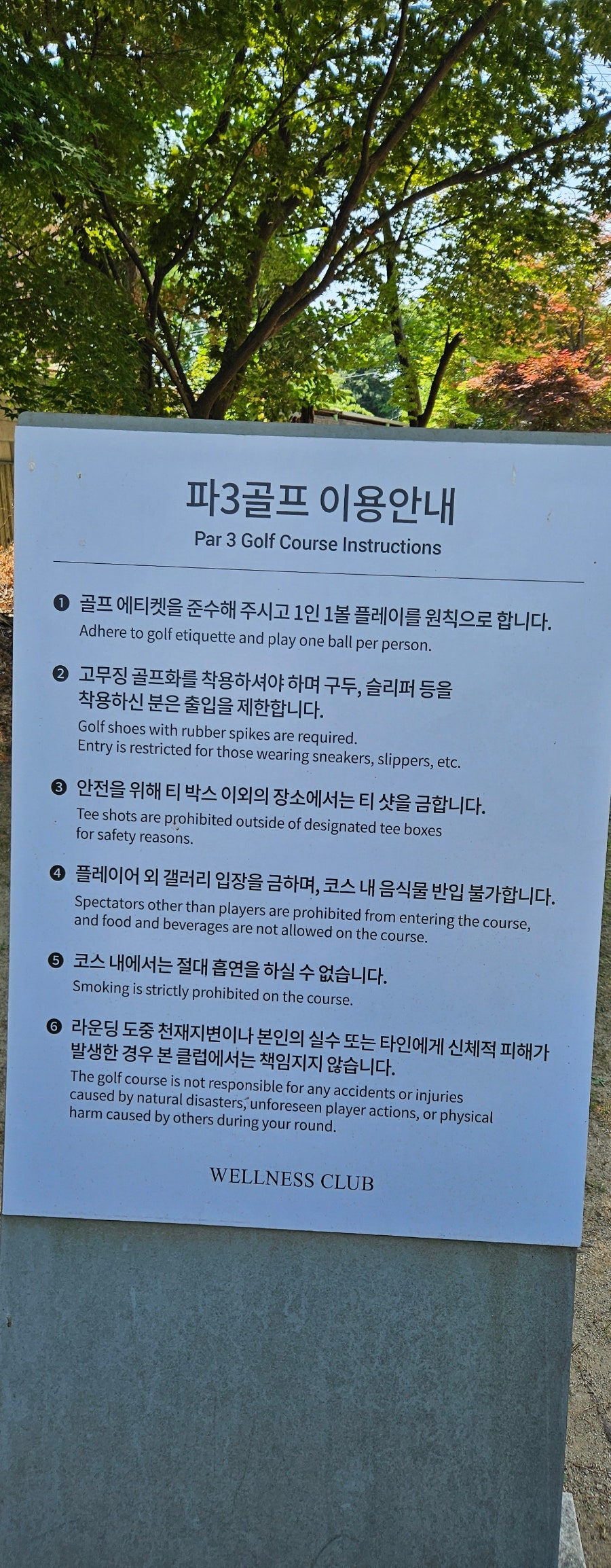 메이필드 짐맥클린 골프스쿨 파3 필드 레슨 후기 — 사진 6