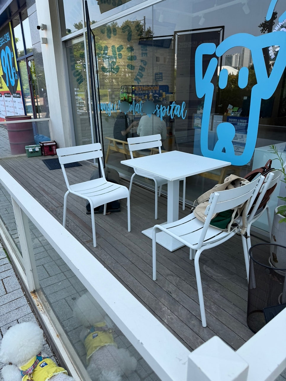 인천 송도 호랑이 동물병원 강아지 프리미엄 건강검진 후기 — 사진 3