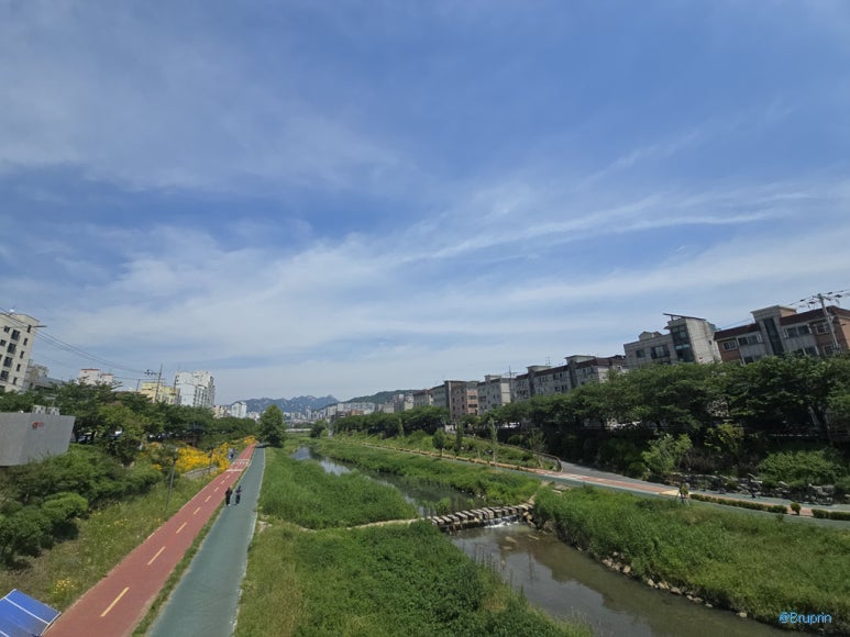 가재울사골순대국 대표 사진