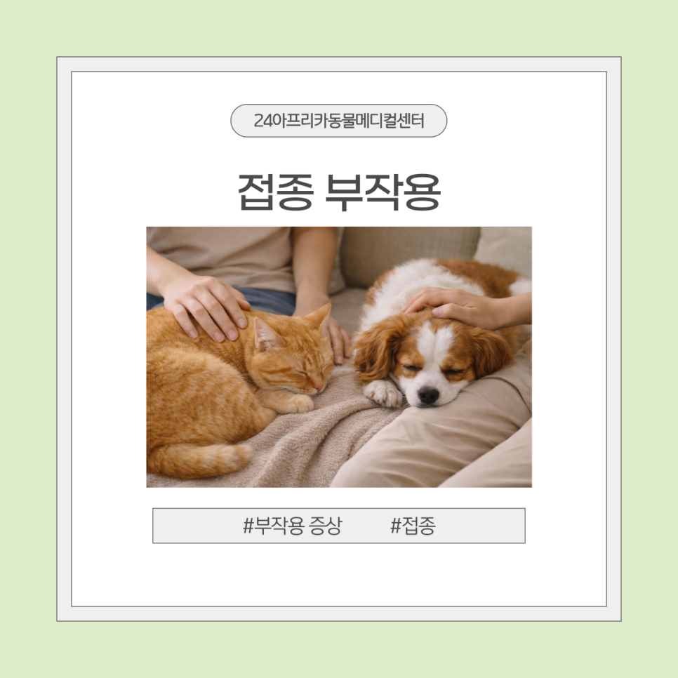 대전 야간 동물병원: 강아지 접종 후 고체온증 치료 후기