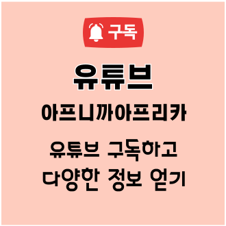 대전 야간 동물병원: 강아지 접종 후 고체온증 치료 후기 — 사진 4