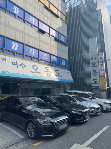 오동도 사진 5
