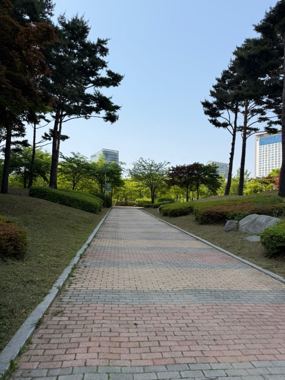 인천 송도 호랑이 동물병원 강아지 프리미엄 건강검진 후기 — 사진 5
