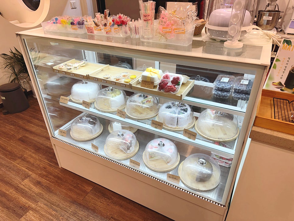 부평 애견동반 카페 모니모니, 반려견과 함께하는 힐링 타임 — 사진 9