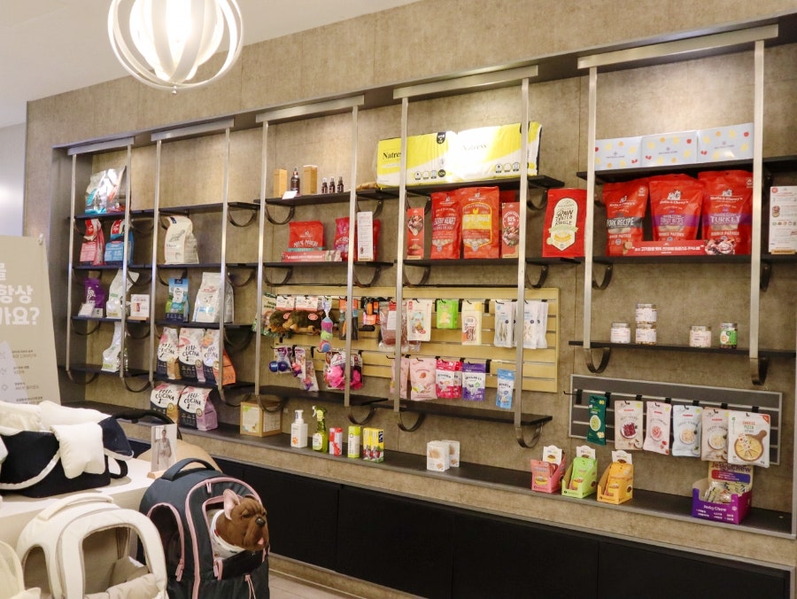 강남 애견호텔 스타몽, 사회성 훈련과 미용까지 한번에 — 사진 11