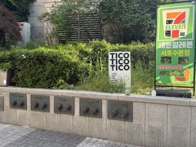 티코 사진 8