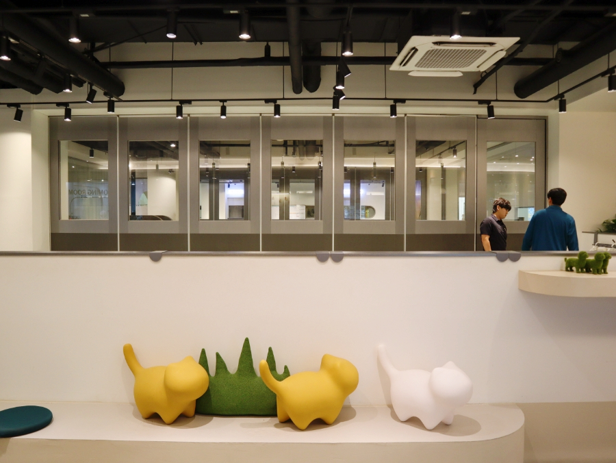 강남 애견호텔 스타몽, 사회성 훈련과 미용까지 한번에 — 사진 8