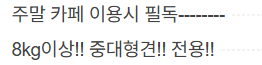 김포 중대형견 전용 애견카페 DOG-ING 방문 후기 — 사진 2