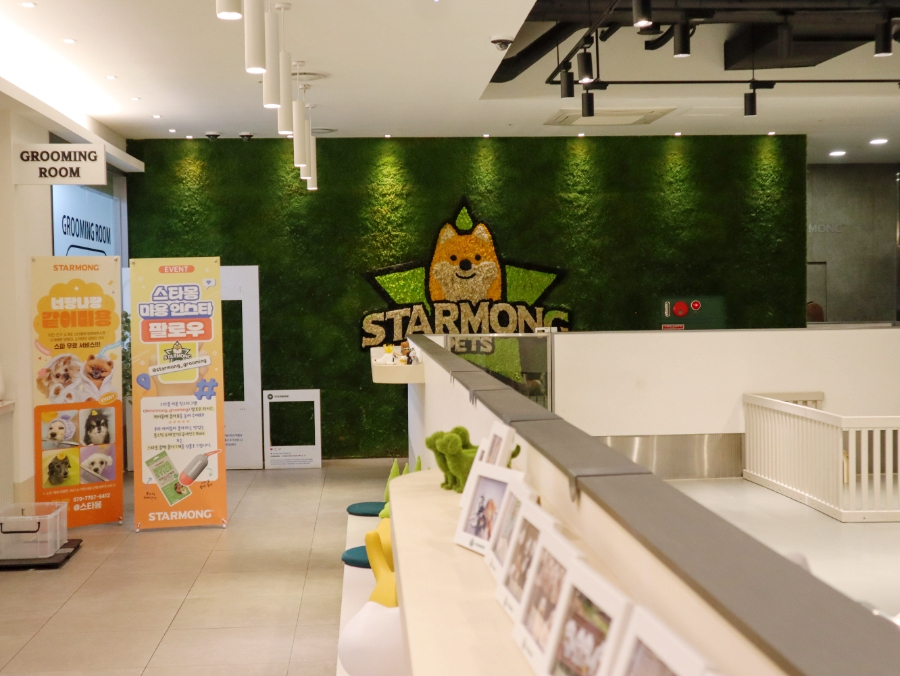 강남 애견호텔 스타몽, 사회성 훈련과 미용까지 한번에 — 사진 2