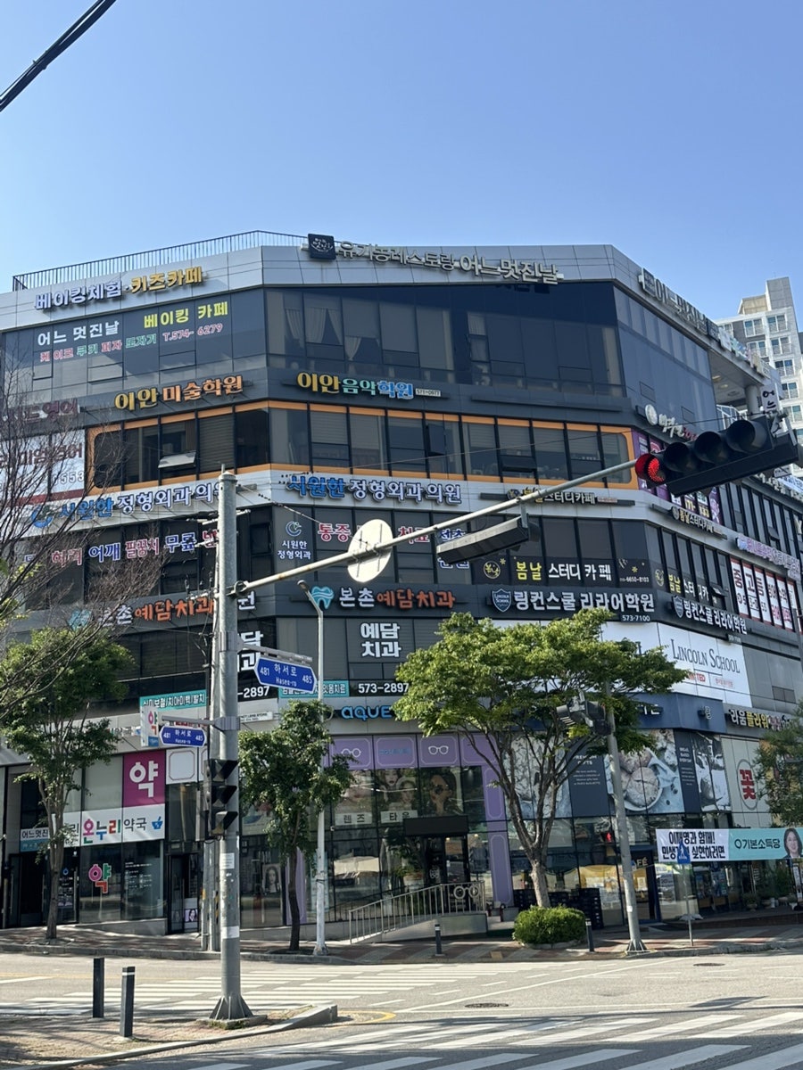 광주 베이킹 원데이클래스: 바스크 치즈케이크 만들기 후기