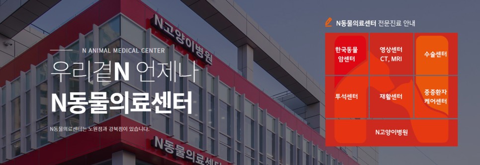 말티즈 척수 가성종양 제거 수술 성공 사례 — 사진 10