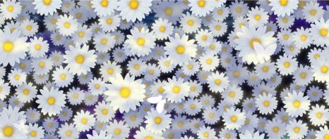 브로콜리 지역정보 관련 사진 23