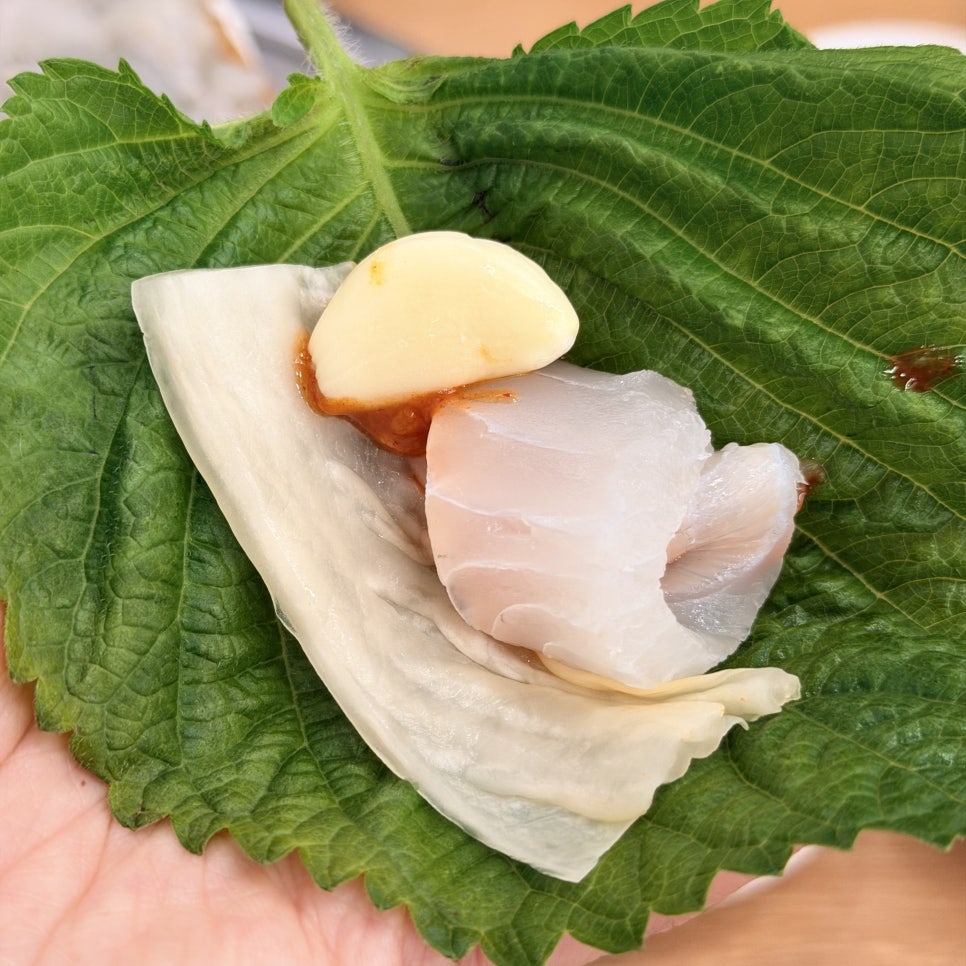 속초오징어어시장 강남역점 사진 7