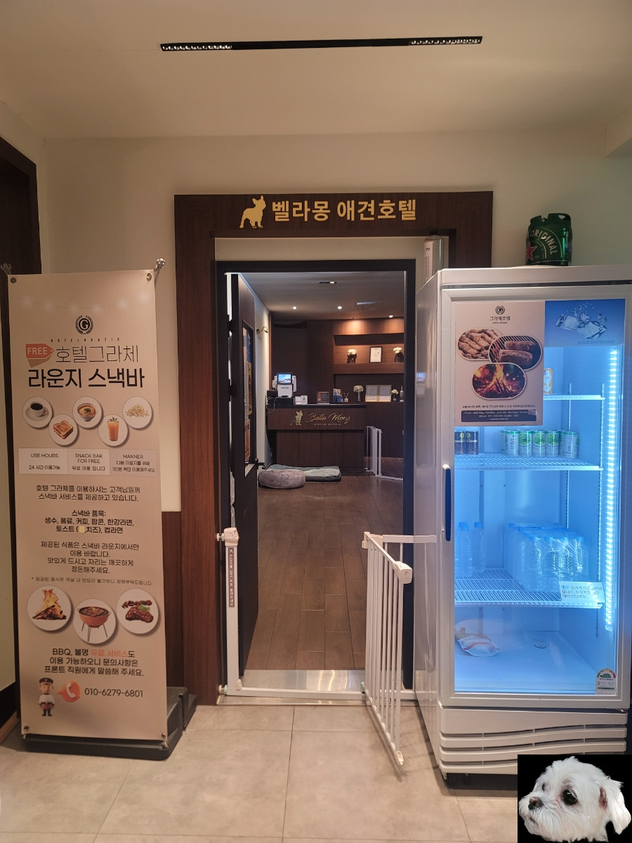 롯데리아 가평점 사진 6