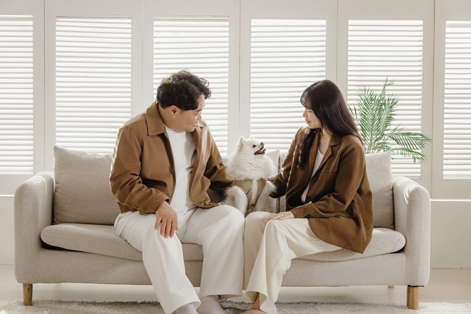 부산 캣독사진관 포메라니안 뚜뚜 촬영 후기 — 사진 2