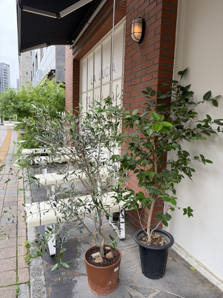 라루치아 2호점 사진 7