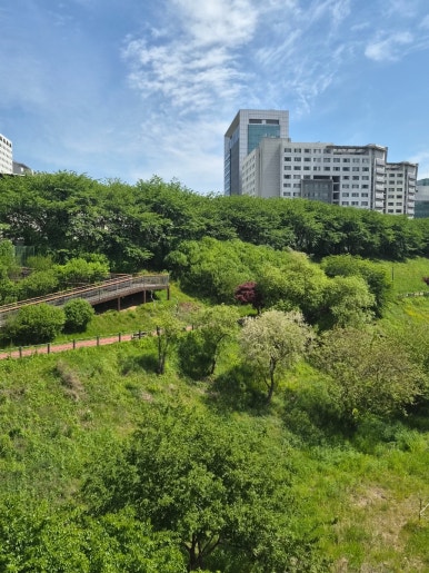 카츠젠 잠실나루점 사진 7