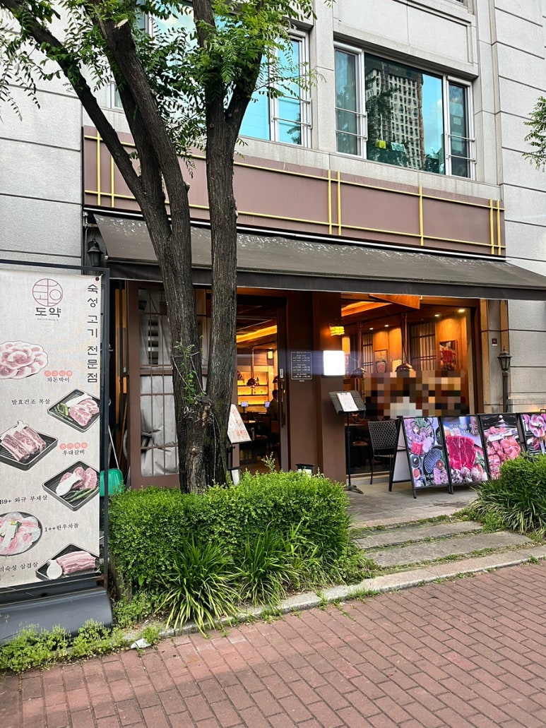도약 사진 4