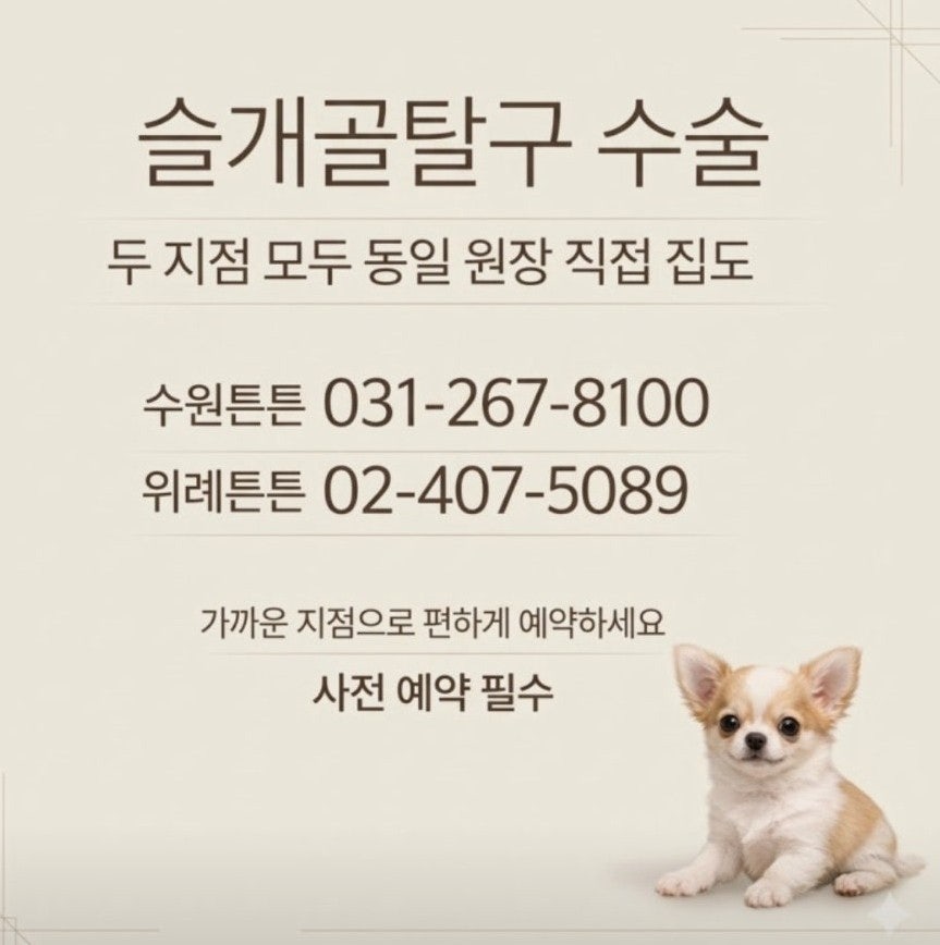 위례 슬개골탈구 4기 수술 전문 동물병원 비용 및 후기 — 사진 2