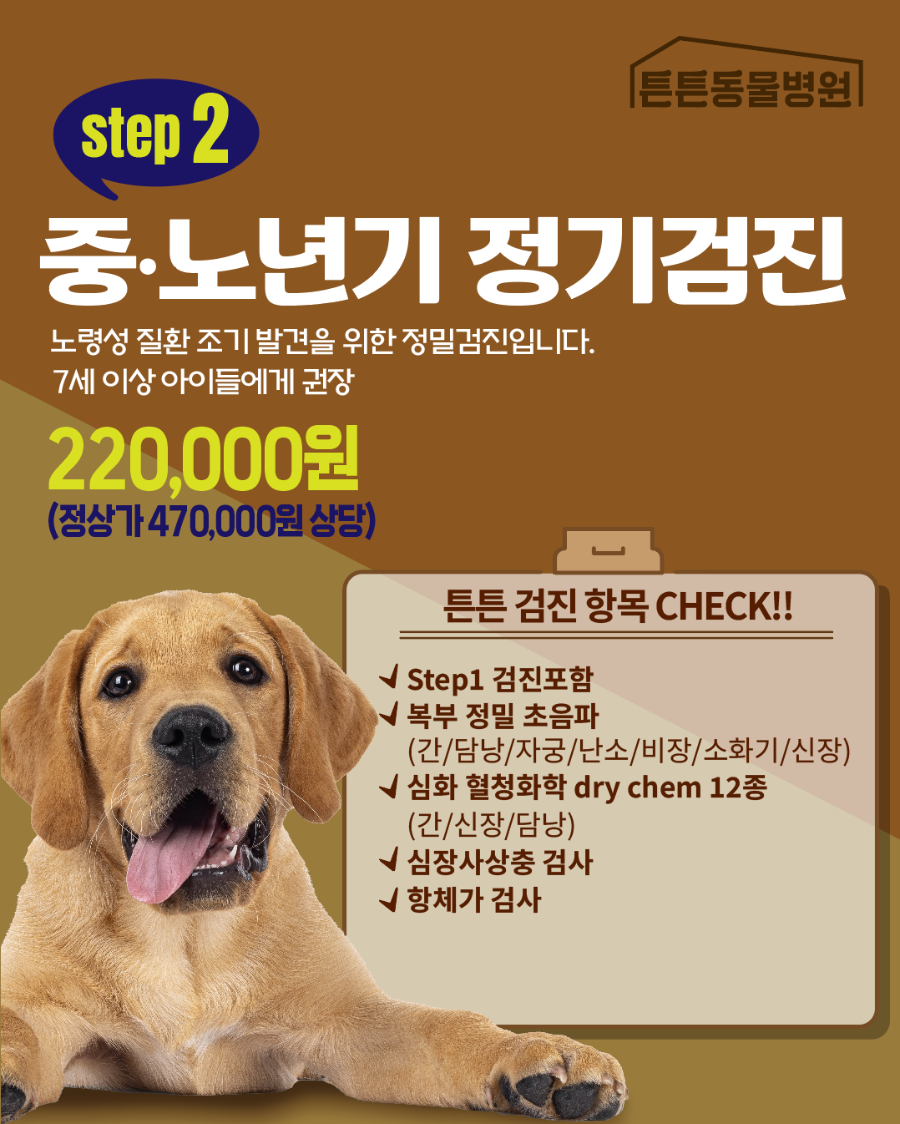 10살 강아지 건강검진: 위례 튼튼동물병원 필수 항목 및 비용 — 사진 3