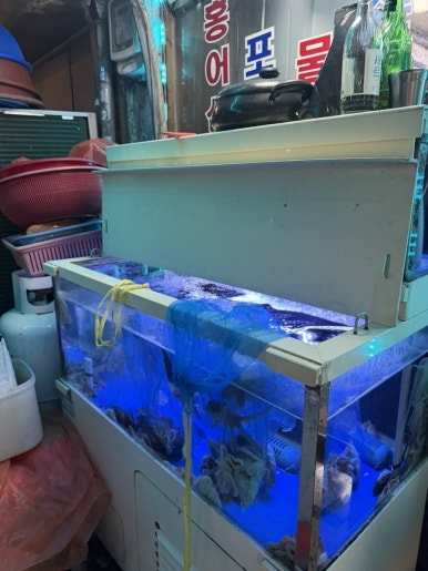울엄마제철맛집 사진 2