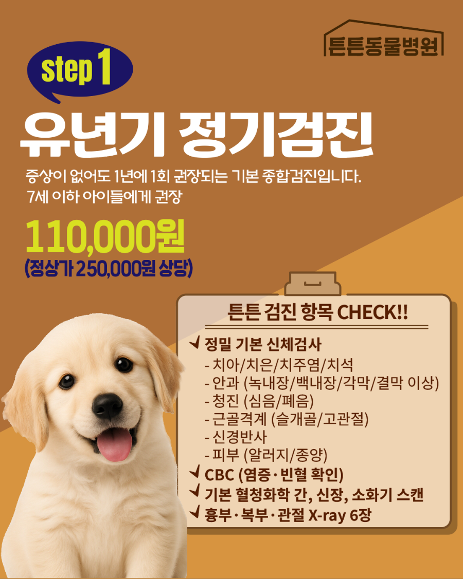 10살 강아지 건강검진: 위례 튼튼동물병원 필수 항목 및 비용 — 사진 2