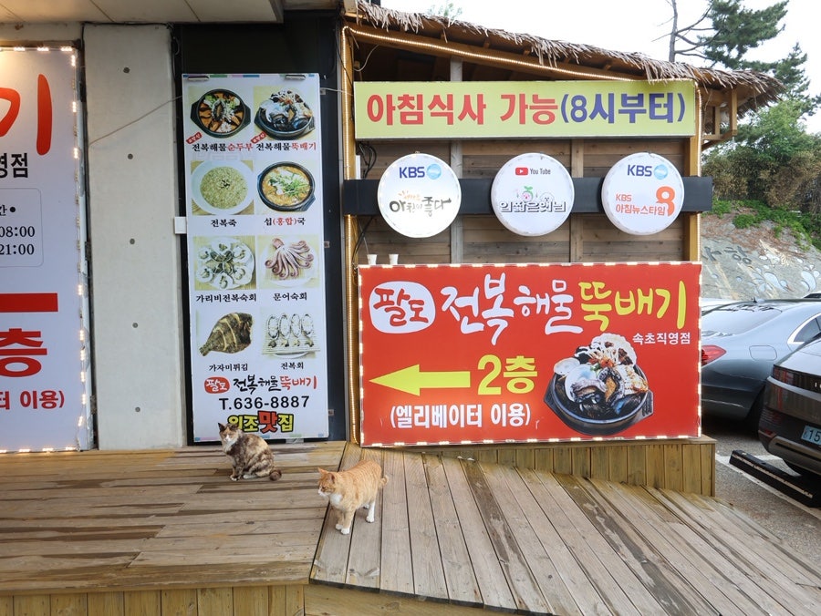 속초 애견동반 식당 팔도전복해물뚝배기 아침 식사 후기 — 사진 3