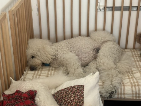 수북하게줄께 사진 3