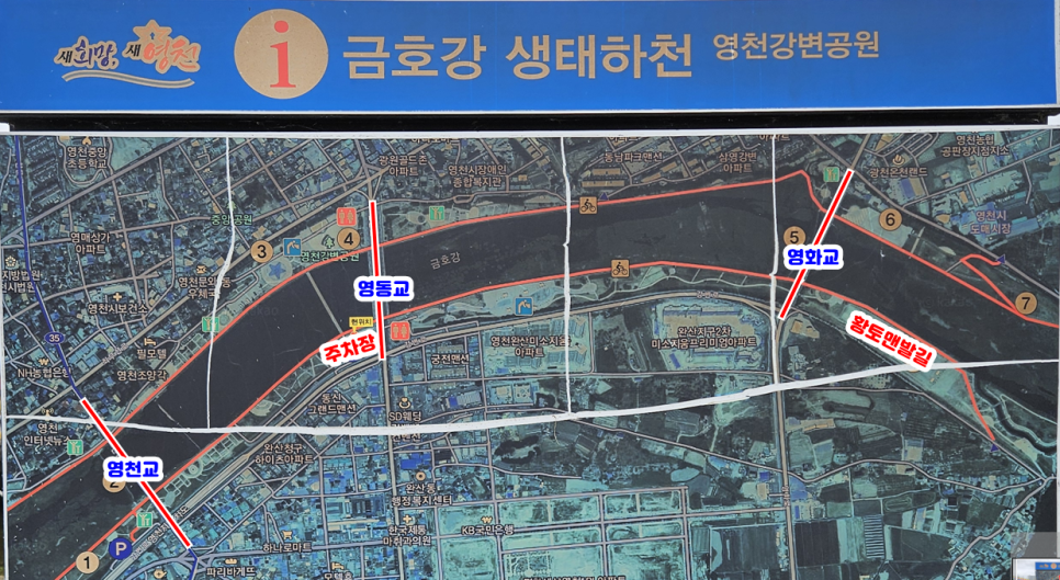 늘솜물회 사진 1