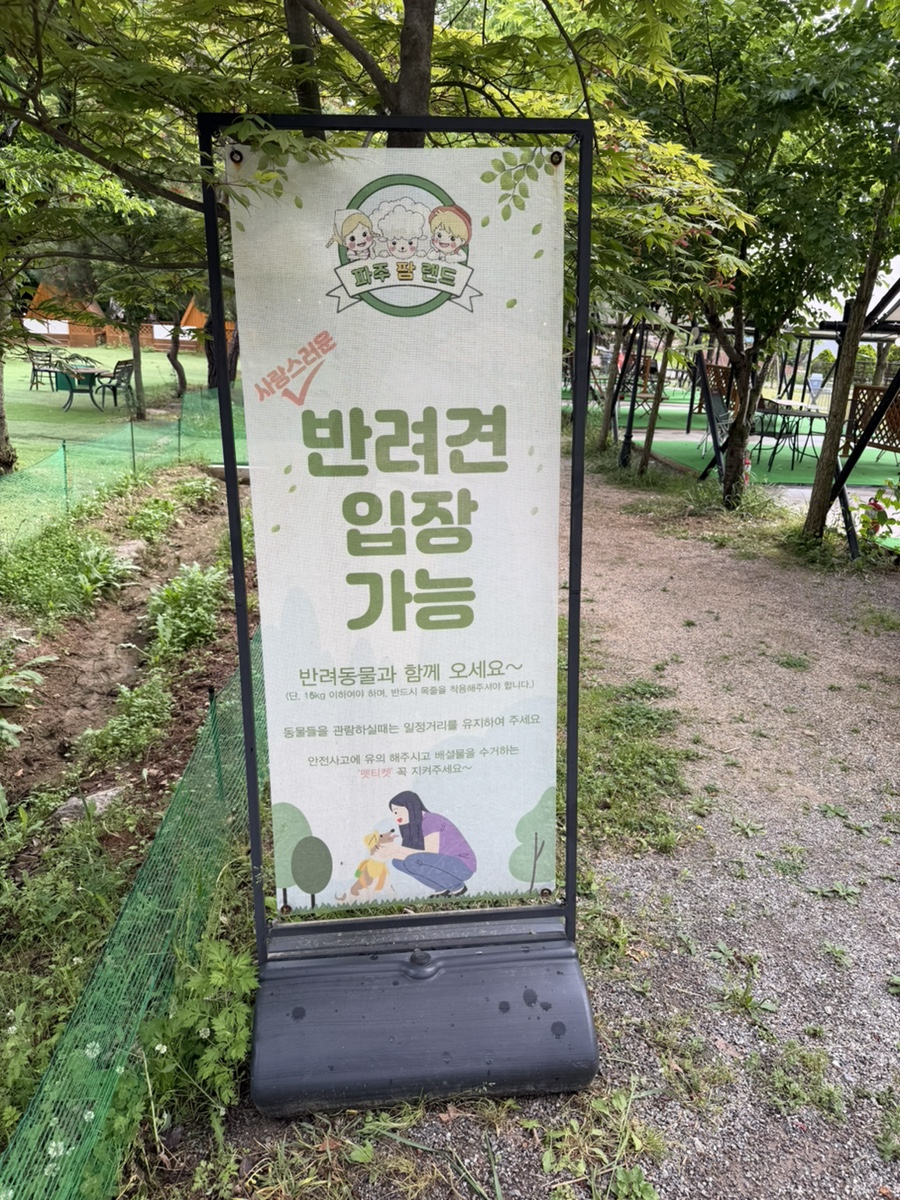 파주 애견카페 강아지나라, 넓은 운동장 후기 — 사진 12
