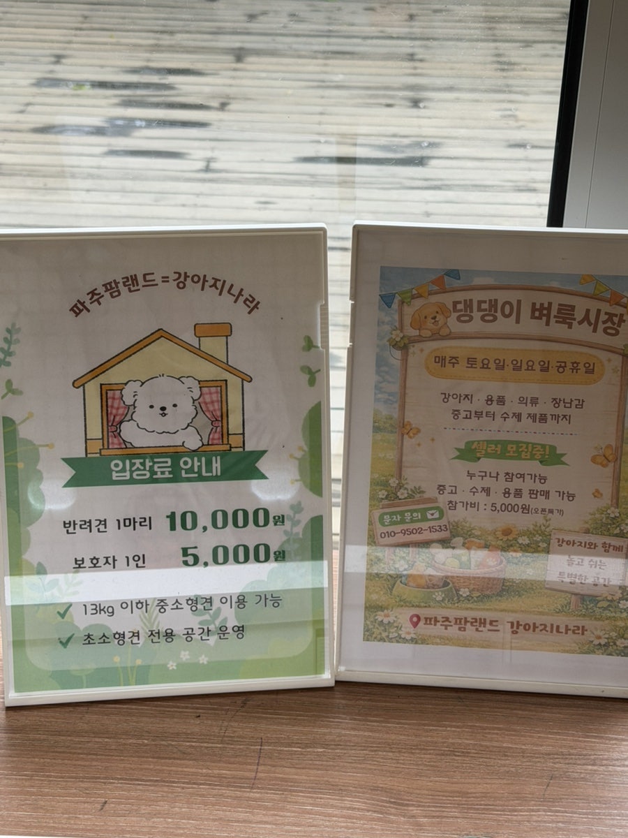 파주 애견카페 강아지나라, 넓은 운동장 후기 — 사진 9