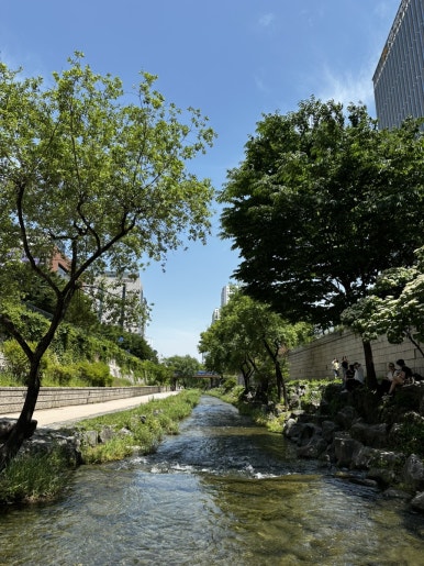 할리스 청계천점 사진 6