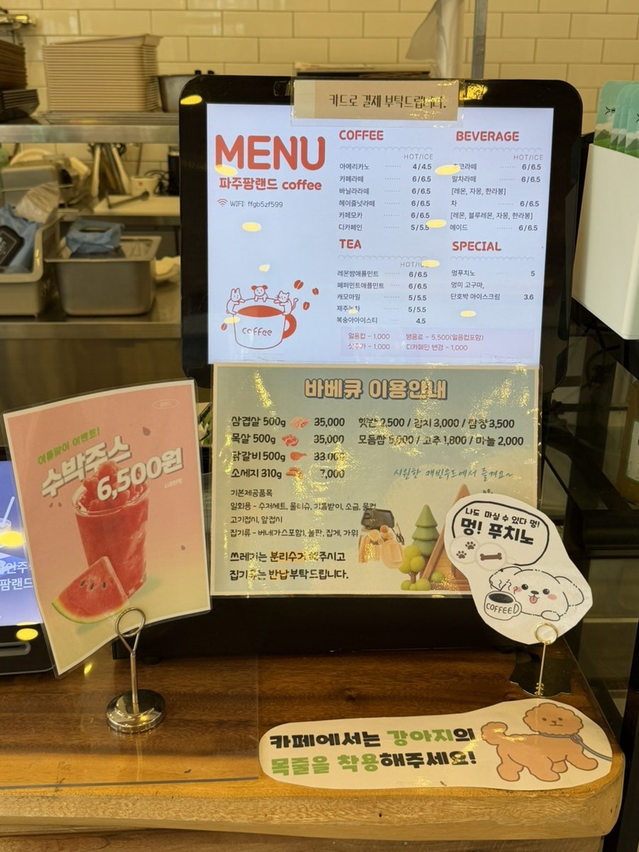 파주 애견카페 강아지나라, 넓은 운동장 후기 — 사진 6