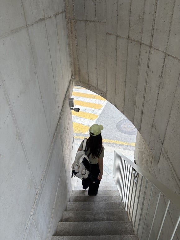 눈온 사진 7