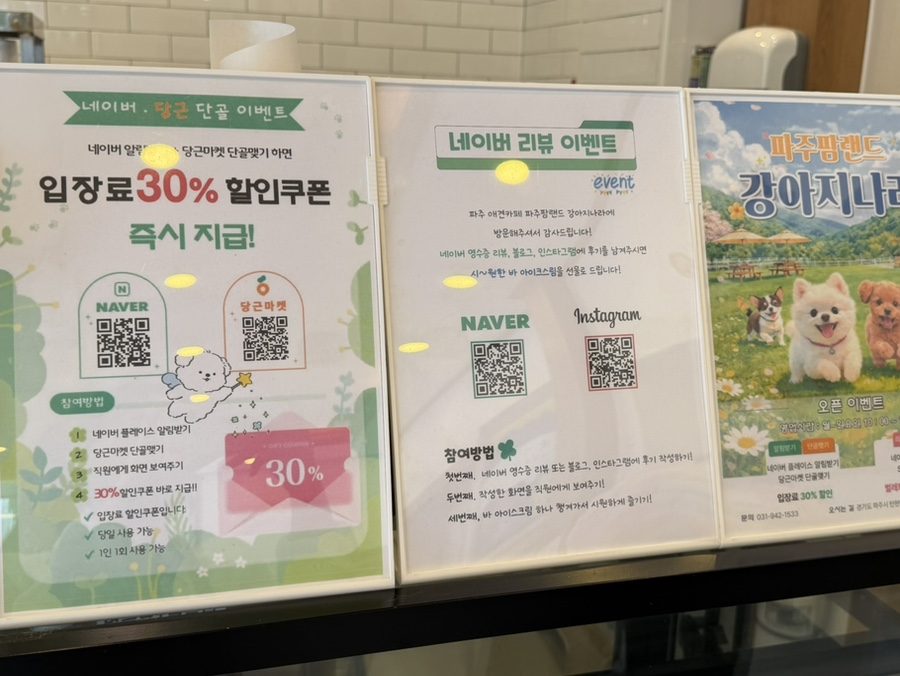 파주 애견카페 강아지나라, 넓은 운동장 후기 — 사진 8
