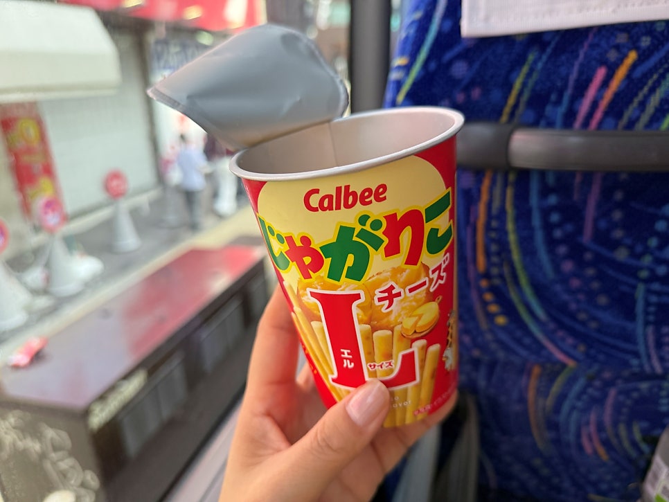 오사카 교토 버스투어 당일치기: 아라시야마, 금각사, 청수사 코스 — 사진 4