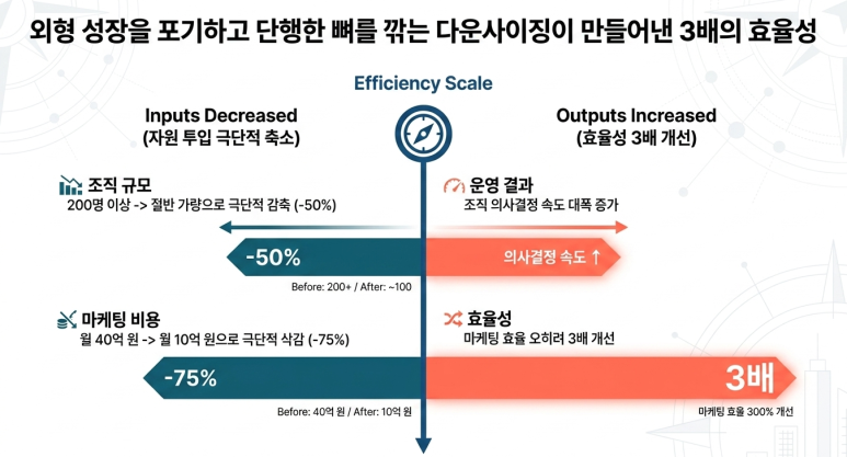 다운사이징 효과