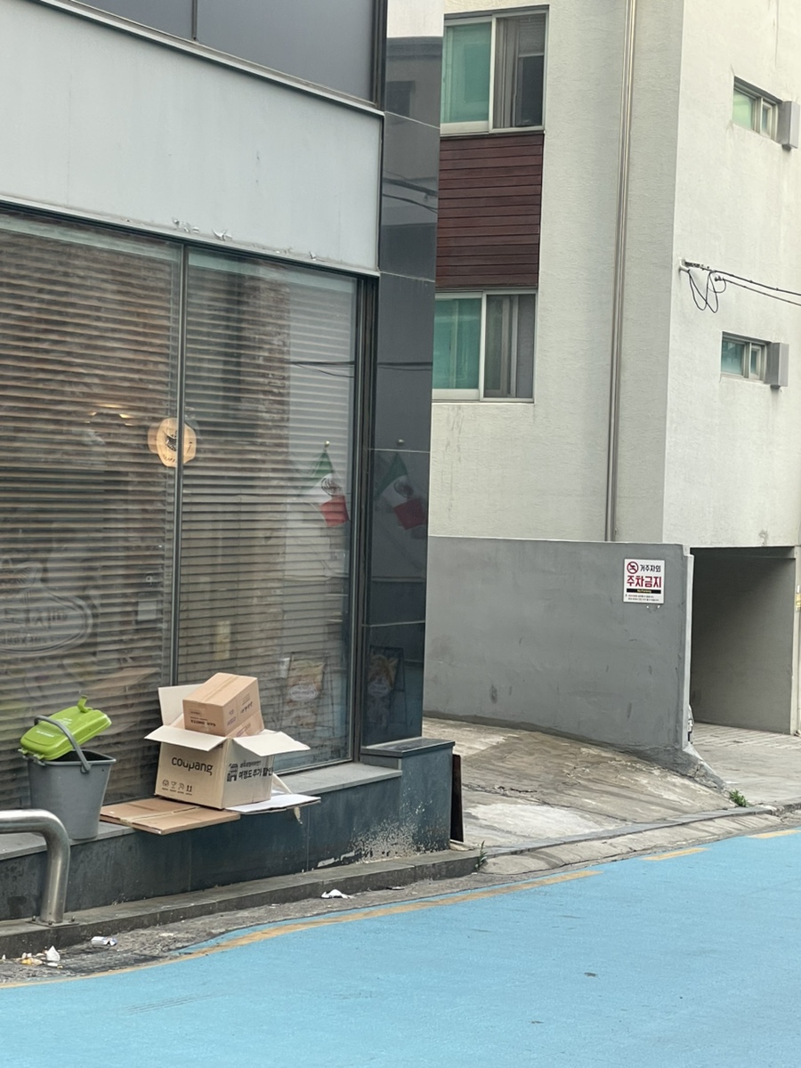 봉선화빛 사진 7