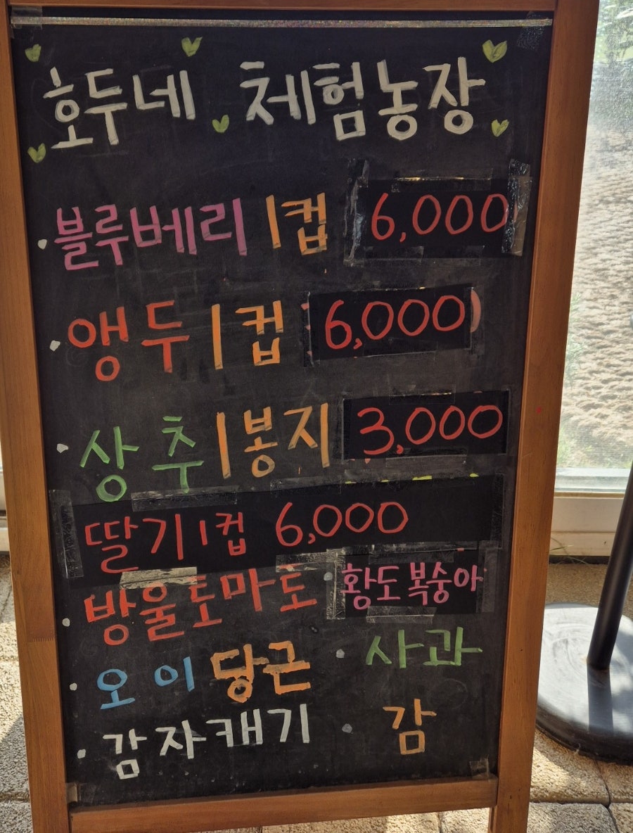 시흥 호두네놀이터: 450평 천연잔디 애견카페 후기 — 사진 7