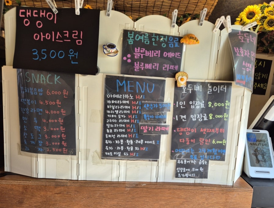 시흥 호두네놀이터: 450평 천연잔디 애견카페 후기 — 사진 6