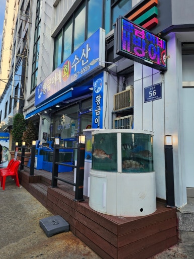 황금이네수산 사진 4