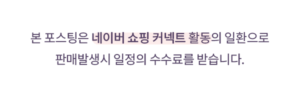 파주 애견카페 오프리쉬독파크: 비 오는 날에도 신나는 물놀이